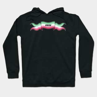 abrosexual pride banner Hoodie